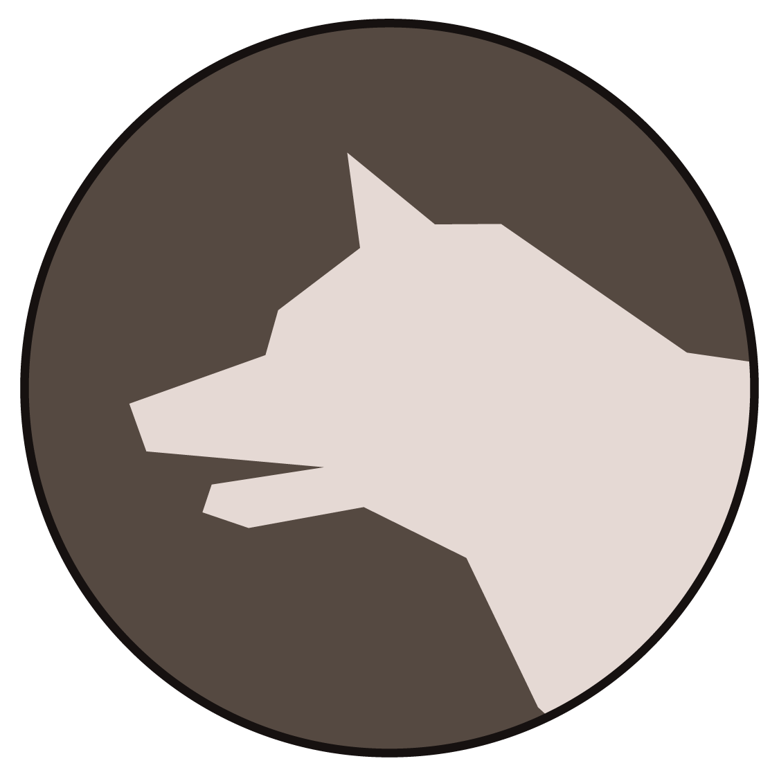 Australian Shepherd Computer Engineering Studio